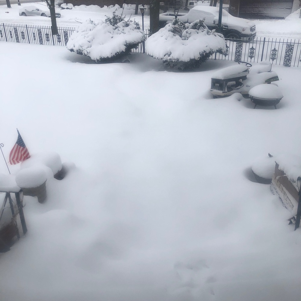 Meet your Posher, Carolyn